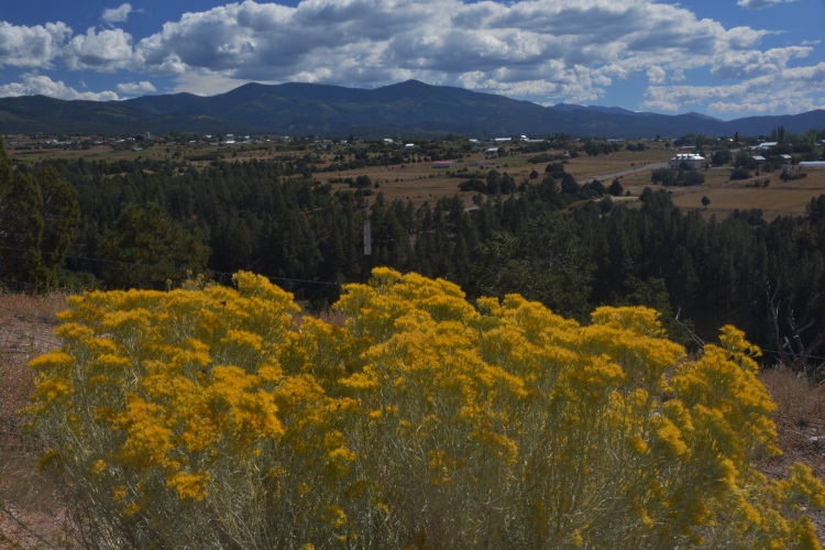 Landscape along the High Road